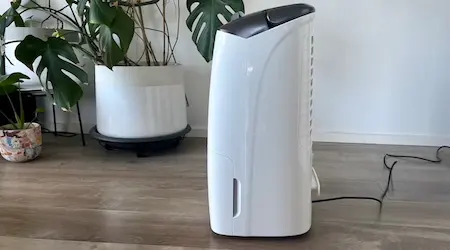 Philips Series 5000 2-in-1 Air Purifier and Dehumidifier review: A gentle touch