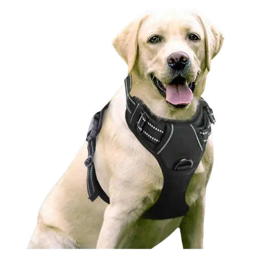 PoyPet No Pull Dog Harness