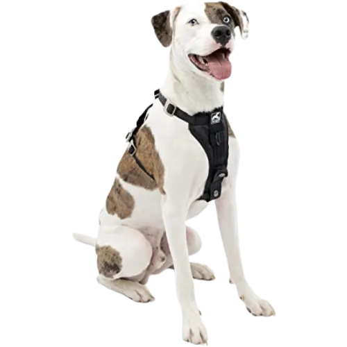 Kurgo Tru-Fit Dog Harness with Seatbelt