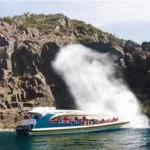 Australia sightseeing cruises from $30